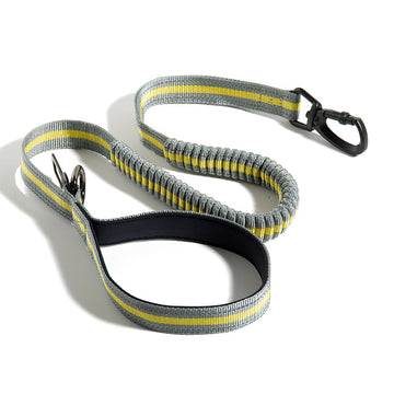 Elastic Bungee Dog Leash - Multi-Functional & Car-Safe Design
