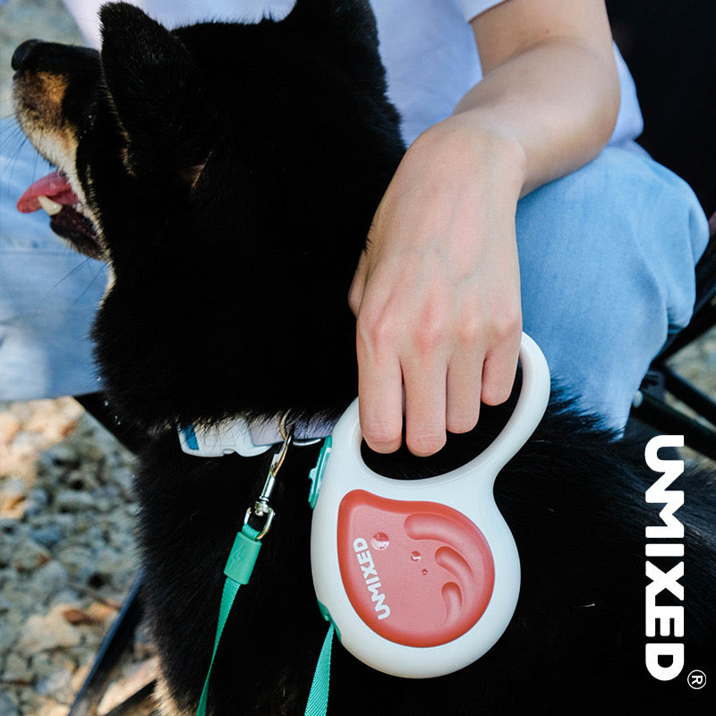 Retractable Dog Leash