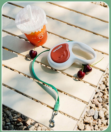 Retractable Dog Leash