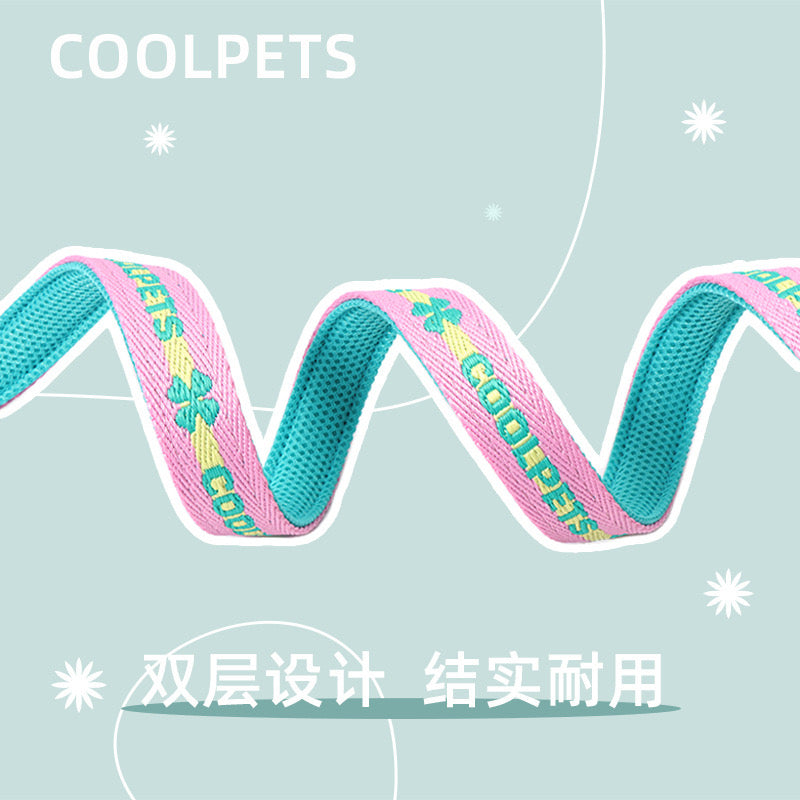 Durable Soft Padded Dog Leash