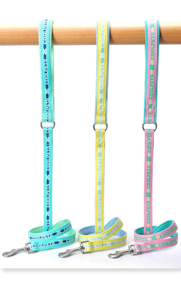 Durable Soft Padded Dog Leash