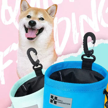 Dog Treat Pouch for Training, Portable, Hands-Free Design
