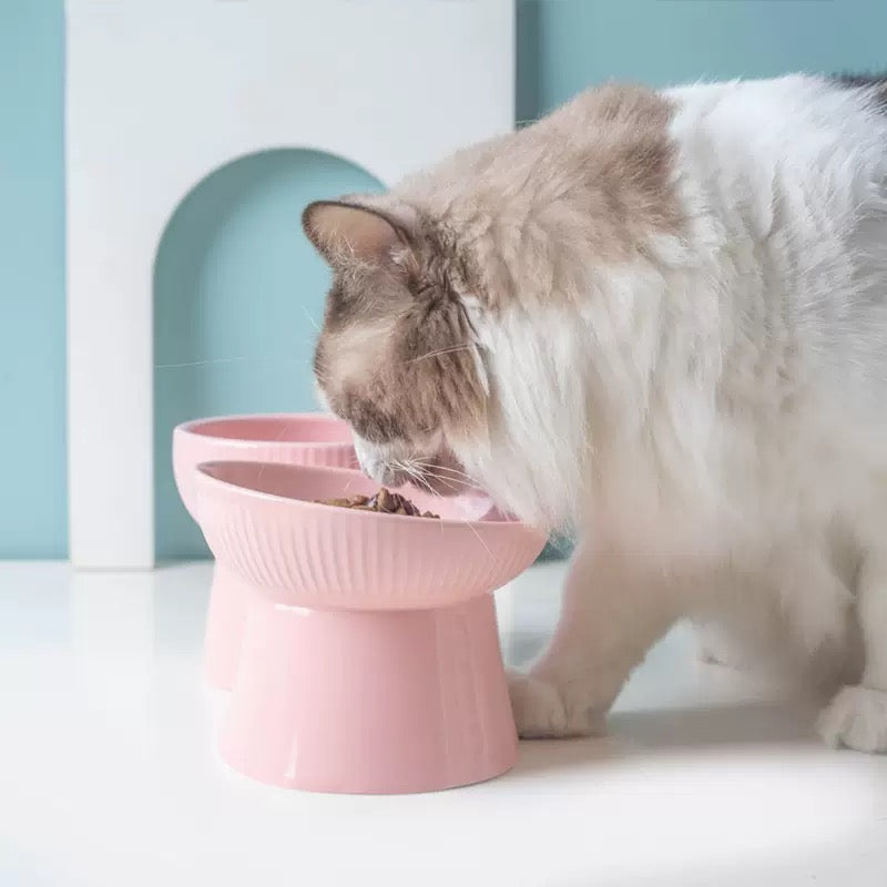 Elevated Ceramic Cat Bowl