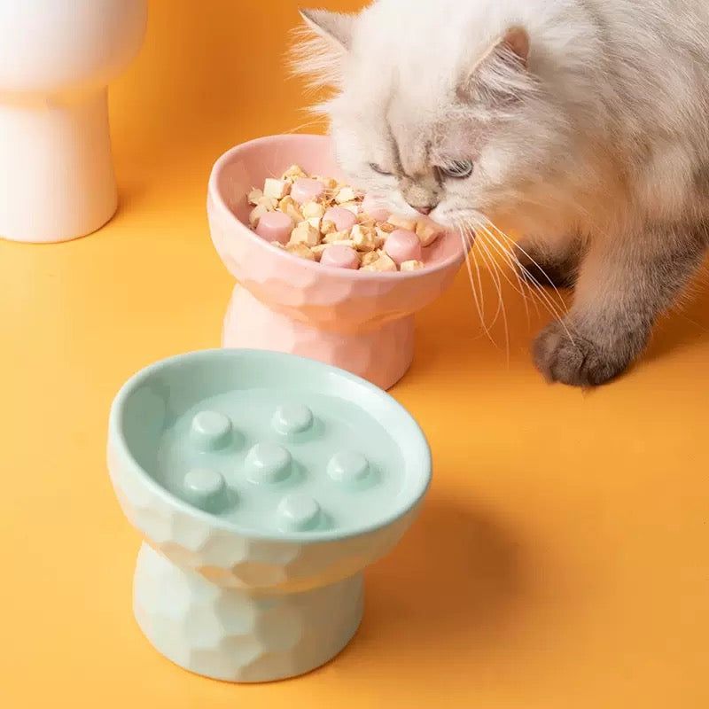 Tilted Elevated Ceramic Slow Feeder Cat Bowl