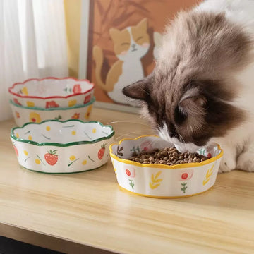 Colorful Ceramic Cat Bowl