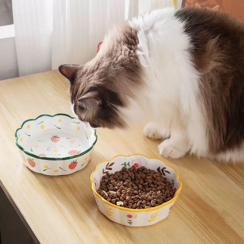 Colorful Ceramic Cat Bowl